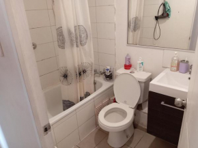 Arriendo departamento amoblado